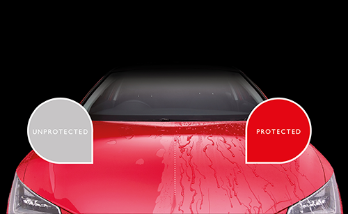 paint-protection-image.png